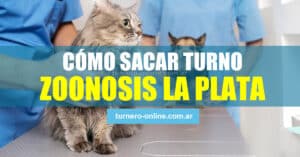 foto de un gato y un perro en el veterinario para sacar turno en zoonosis la plata