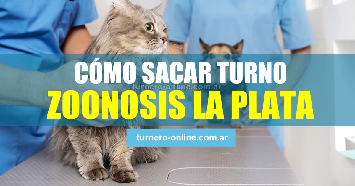 Zoonosis La Plata Ir A Sacar Turnos Online Y Tel fono 