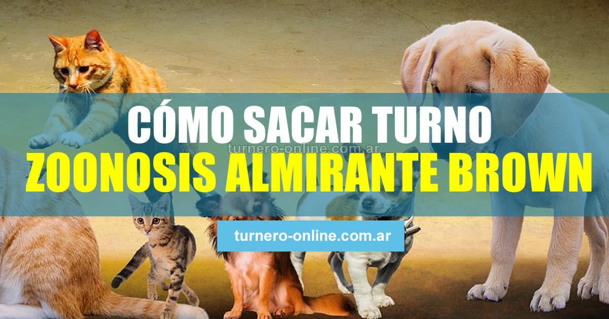 imagen de perros y gatos para cómo sacar turno zoonosis almirante brown para castrar