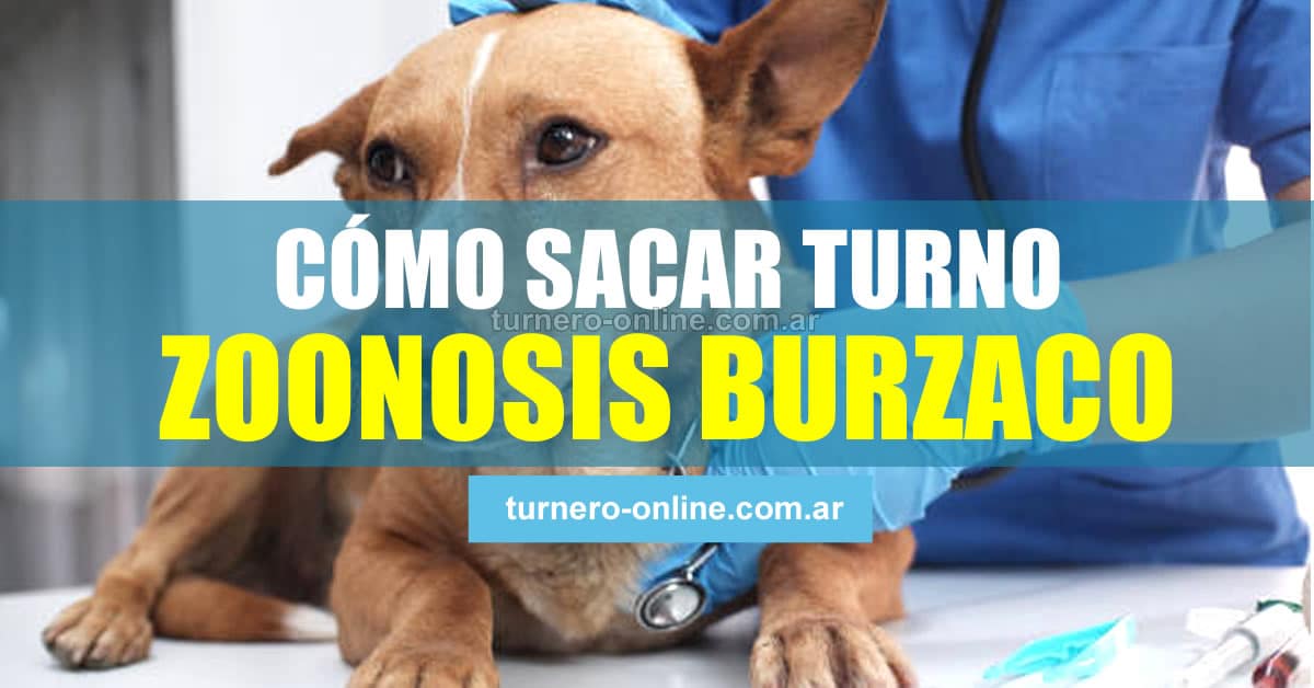 Zoonosis Burzaco Ir A Sacar Turno Online Y Tel fono Direcci n